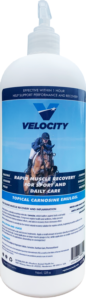 Velocity Carnosine Emulgel 32oz