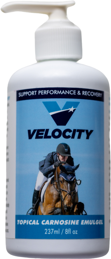 Velocity Carnosine Emulgel 8oz with Pump