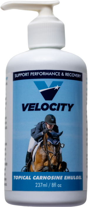 Velocity Carnosine Emulgel 8oz with Pump